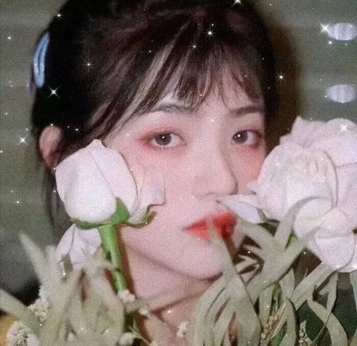 龙城生死恋